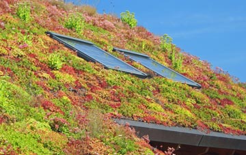 Hartland living roof systems
