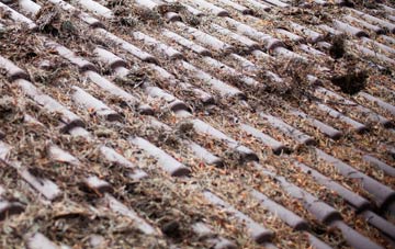 Hartland roof cleaning companies